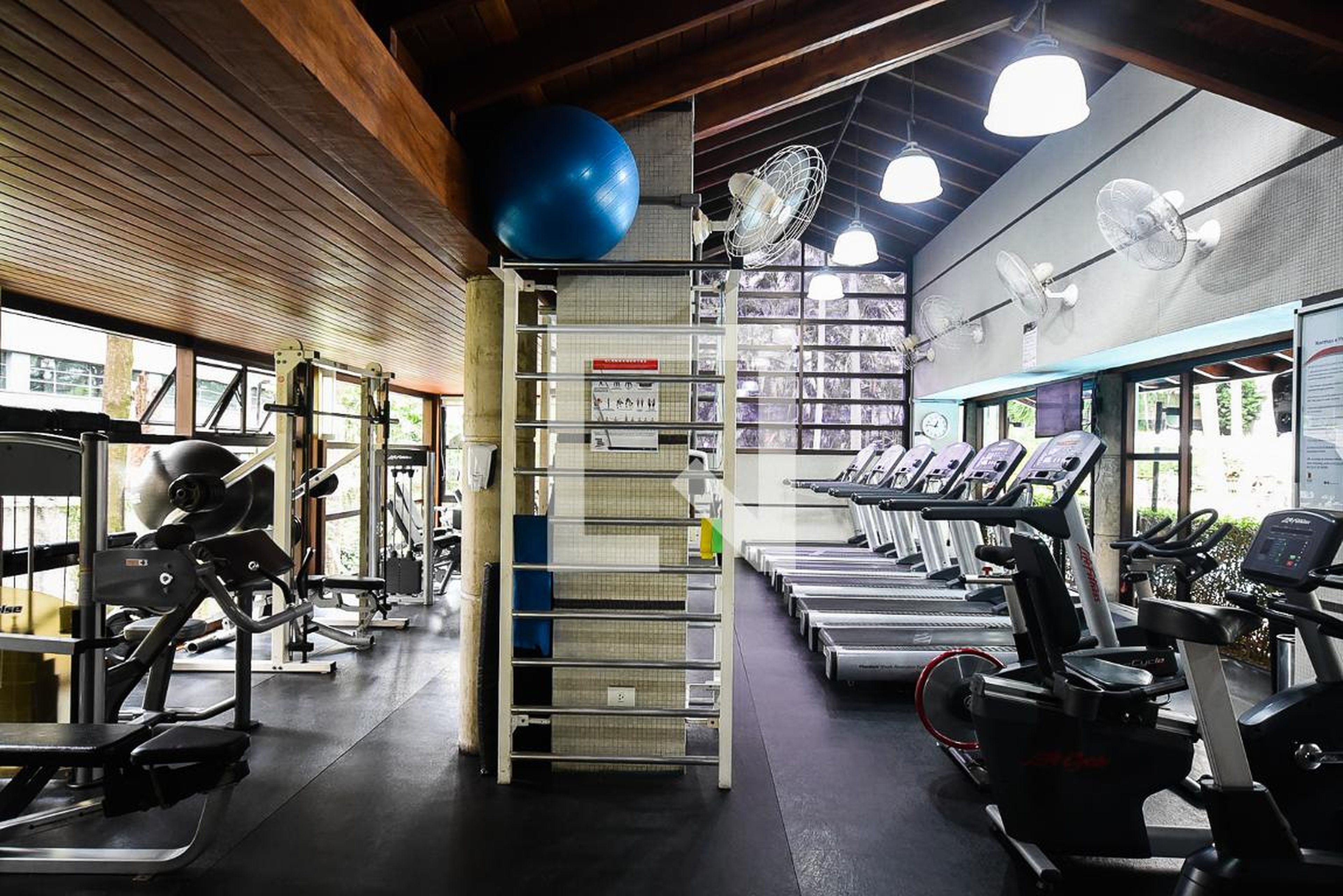 Academia - Golden Towers