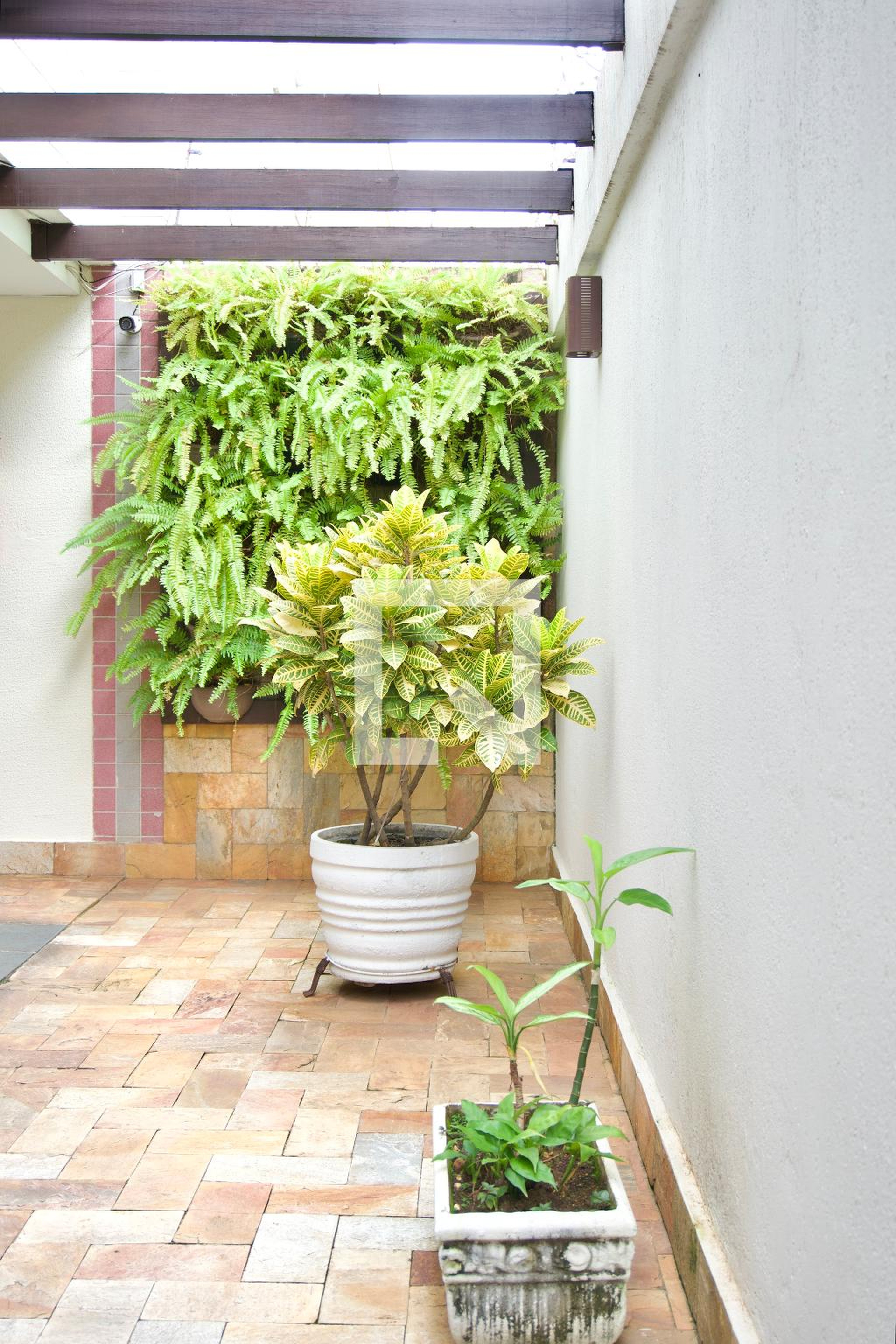 Área comum - Edifício