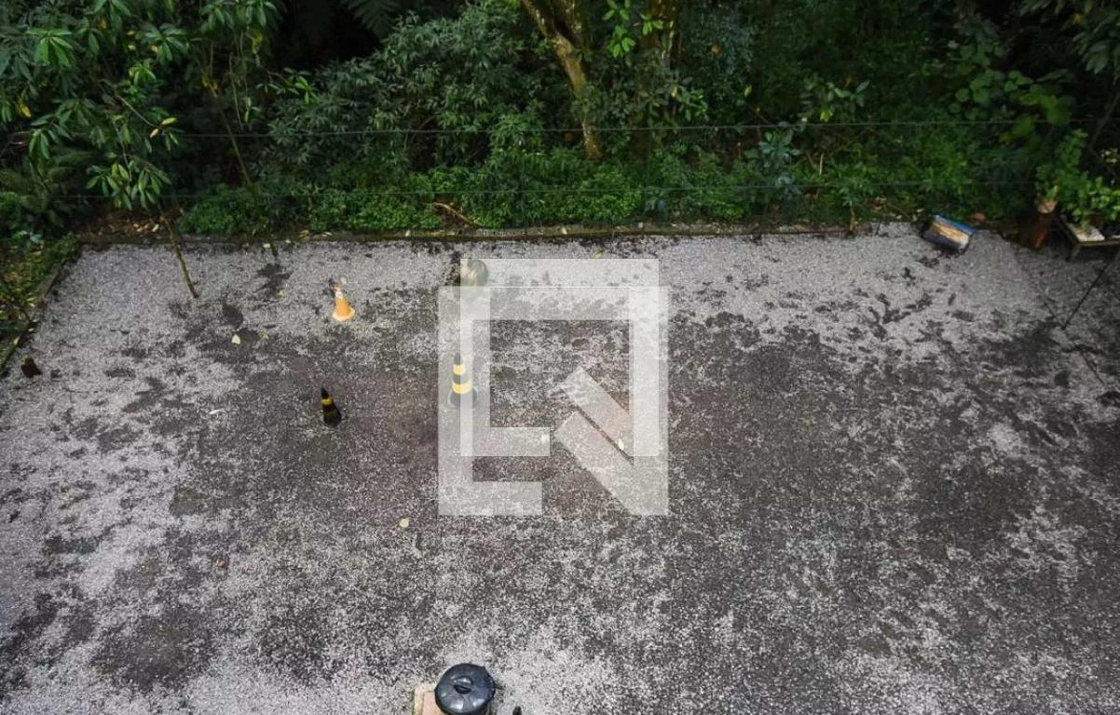 Espaço pet - Cerejeiras 2