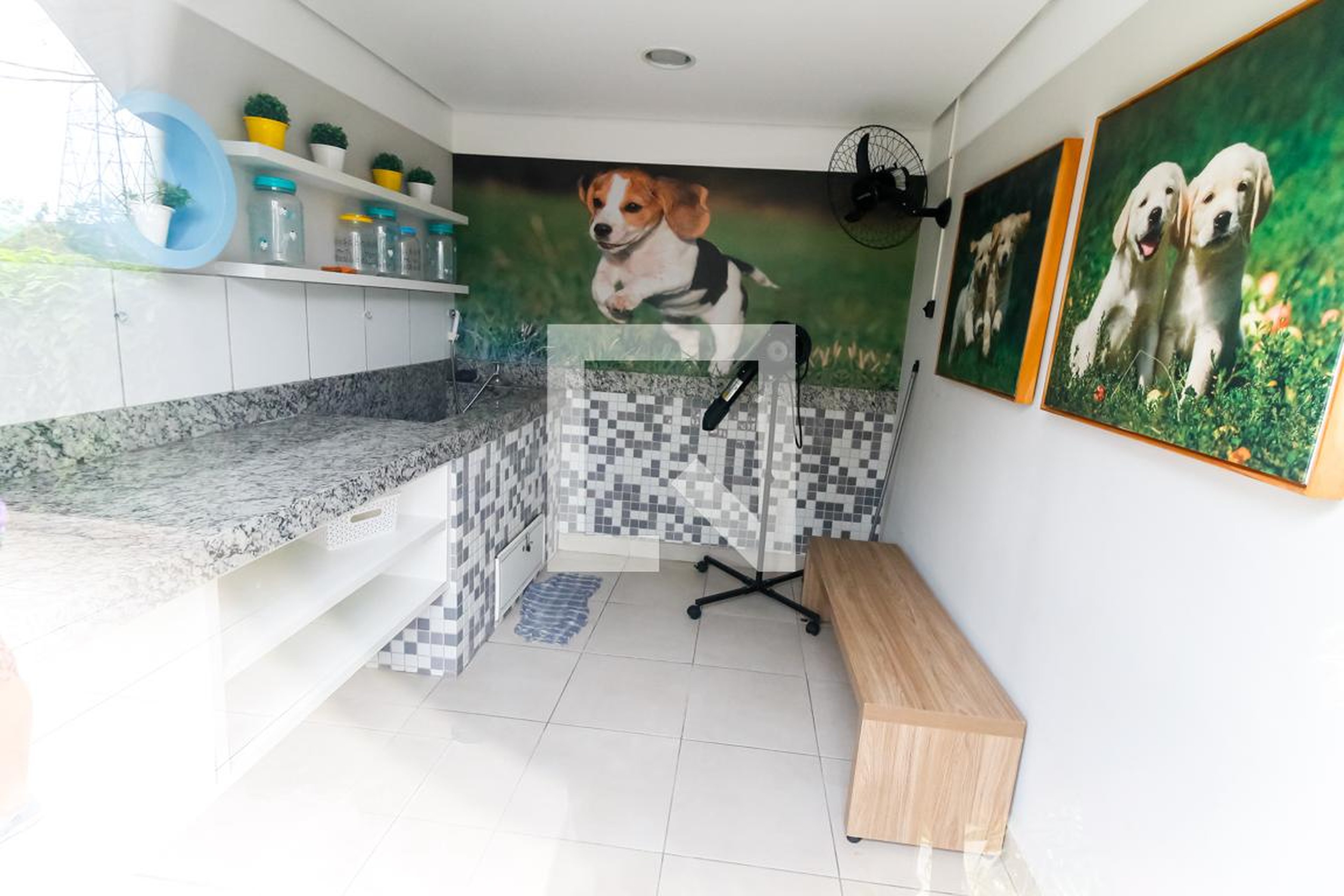 Espaço PET - Fatto Family Club