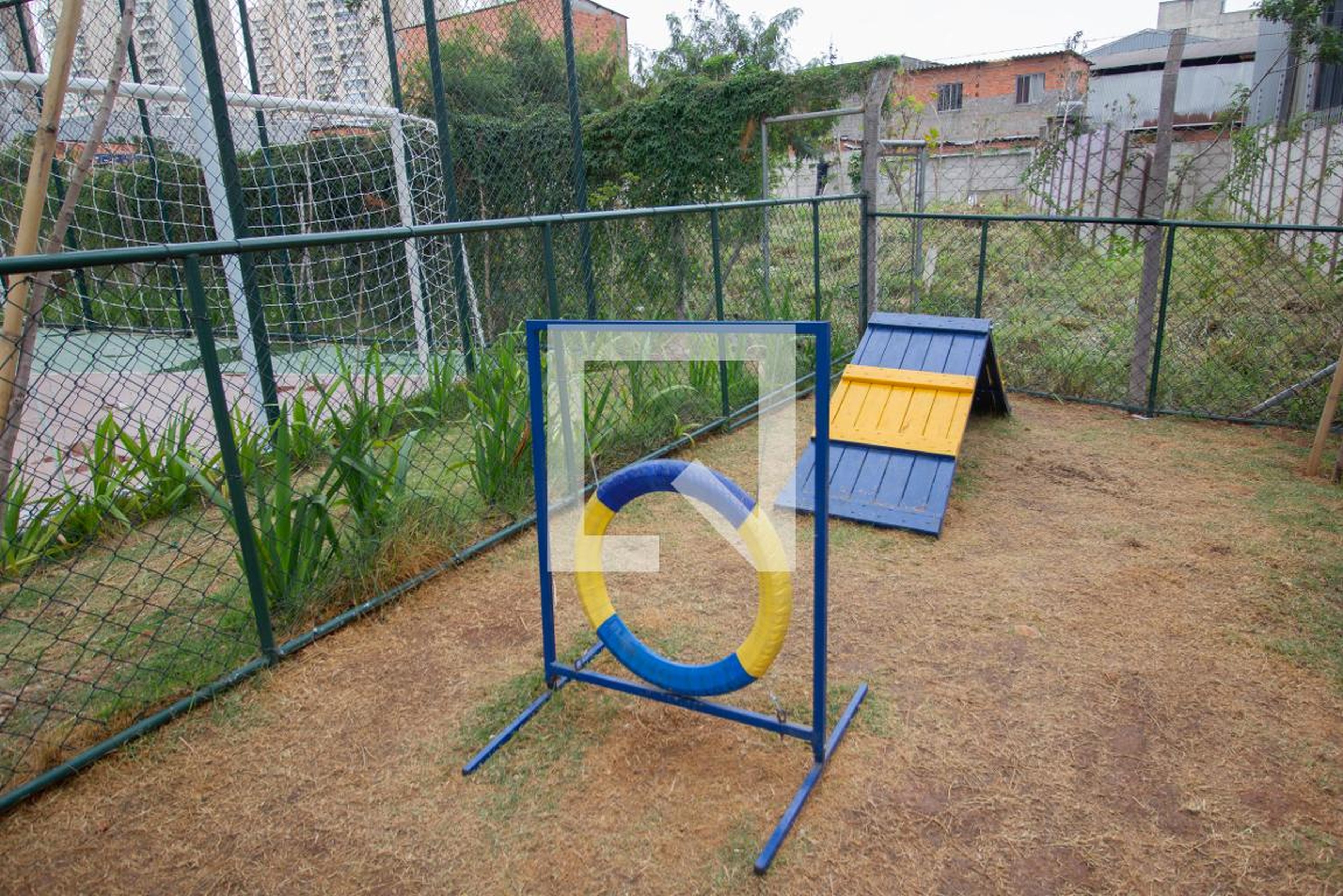 Espaço pet - Viva Limão