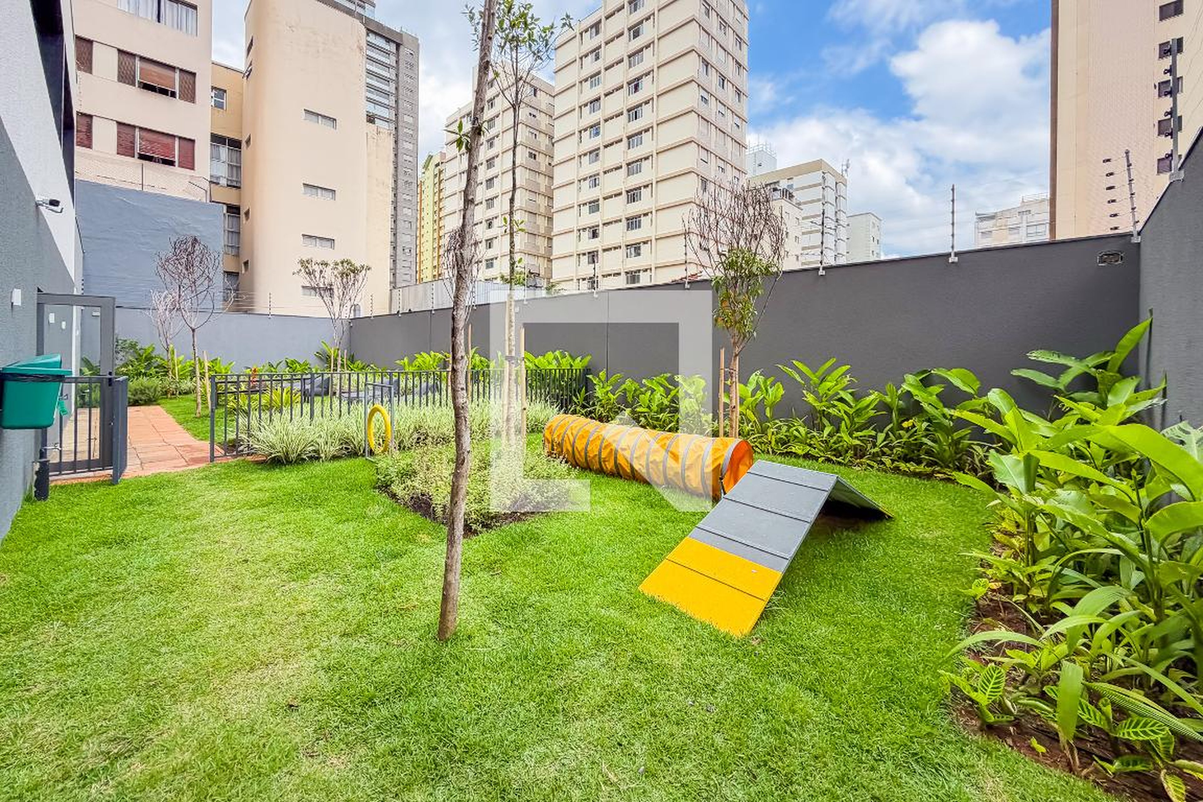 Espaço Pet - Nex One Paraíso