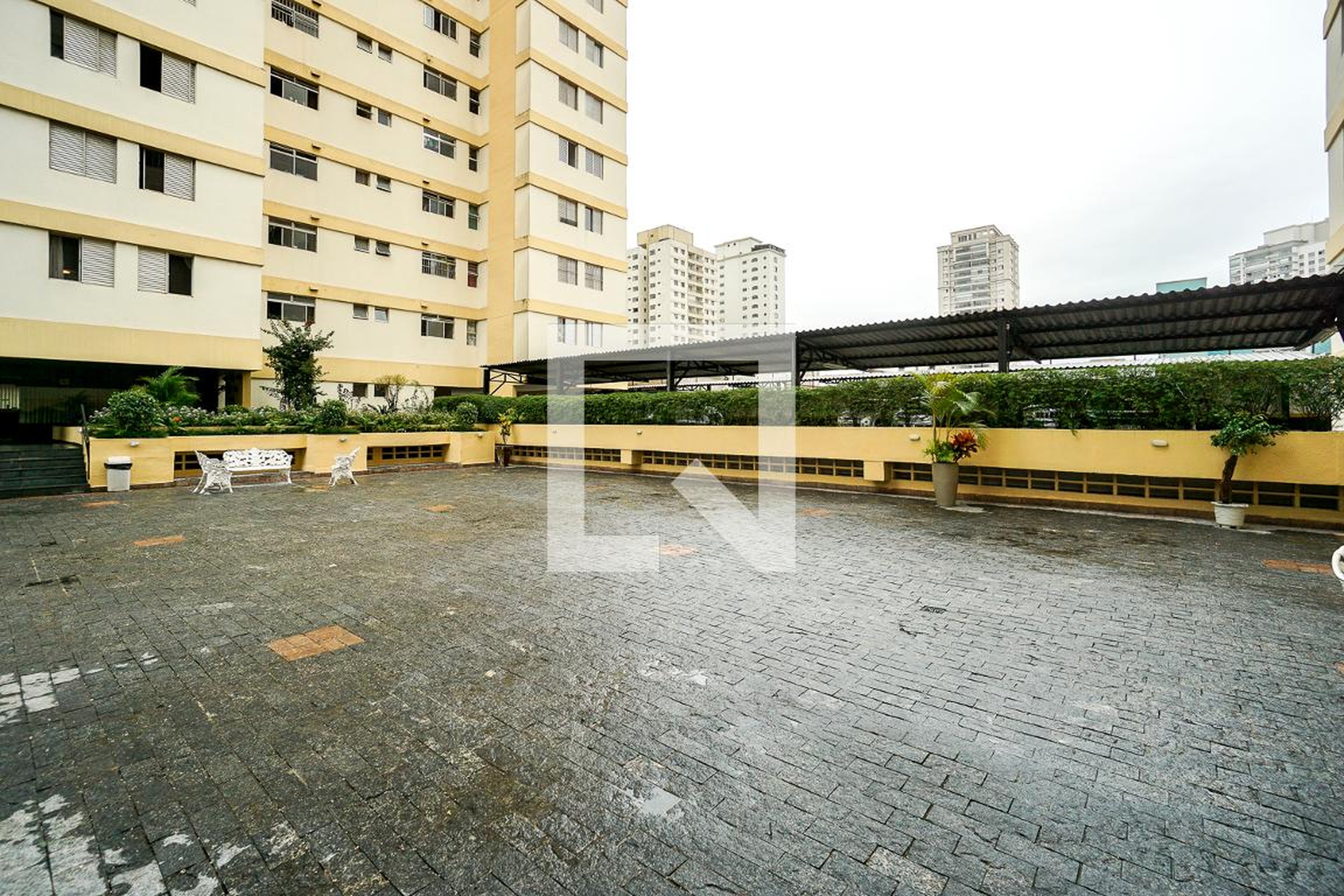 Área externa - Araucaria e Cipreste