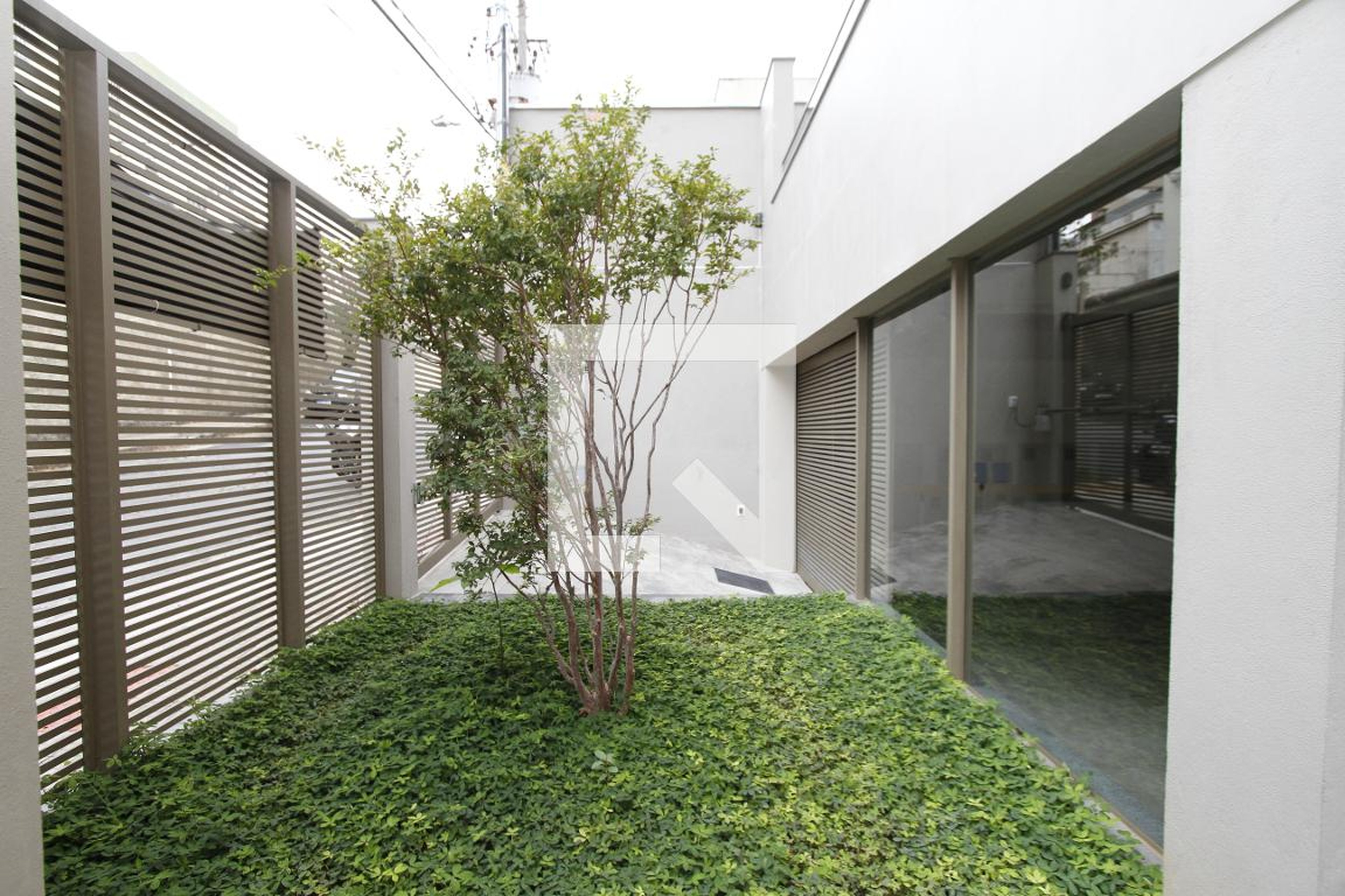 Entrada - 