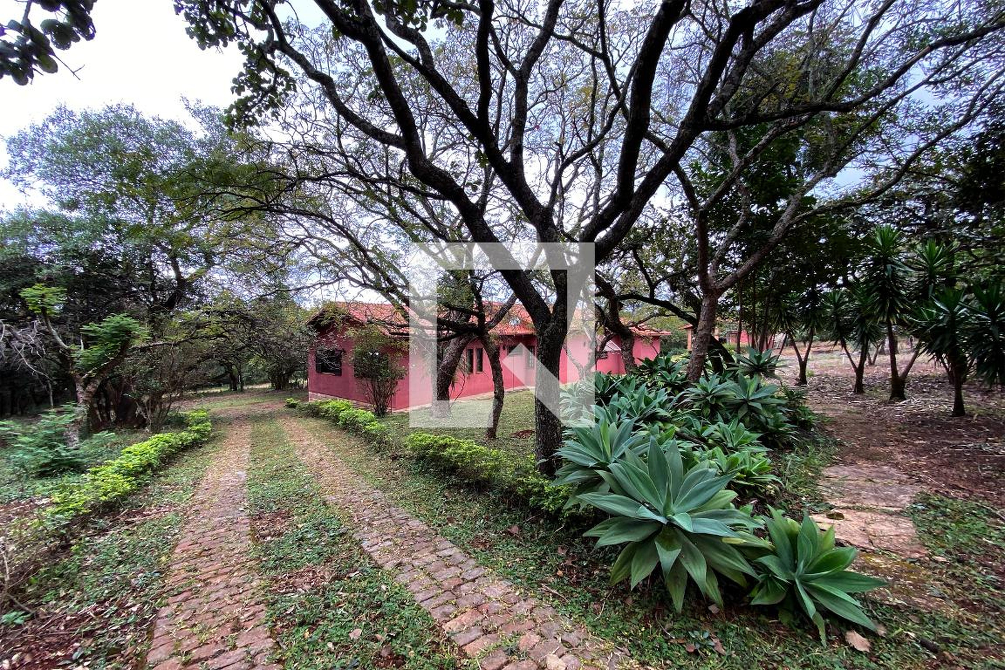 Entrada - 