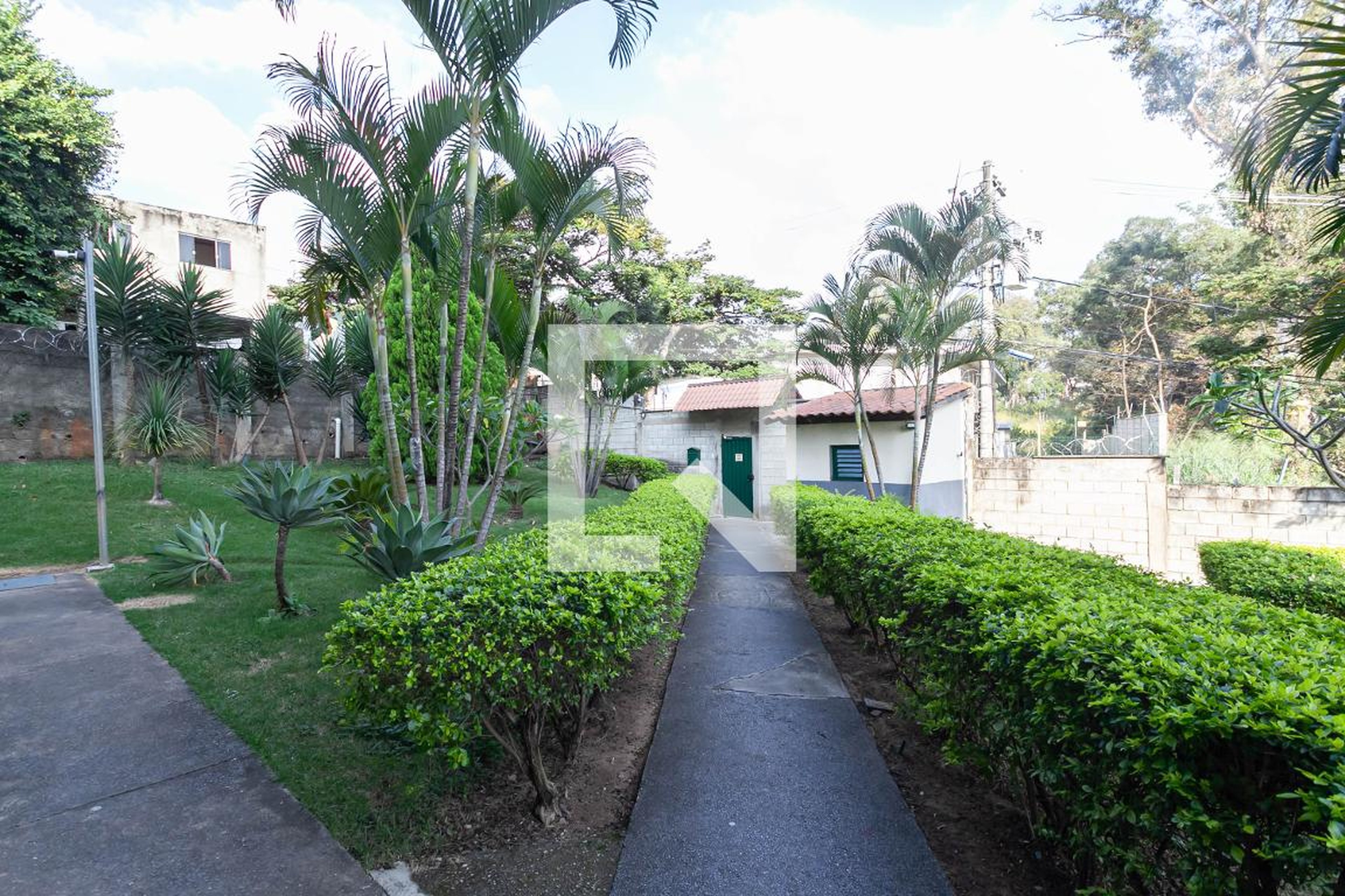 Entrada - 