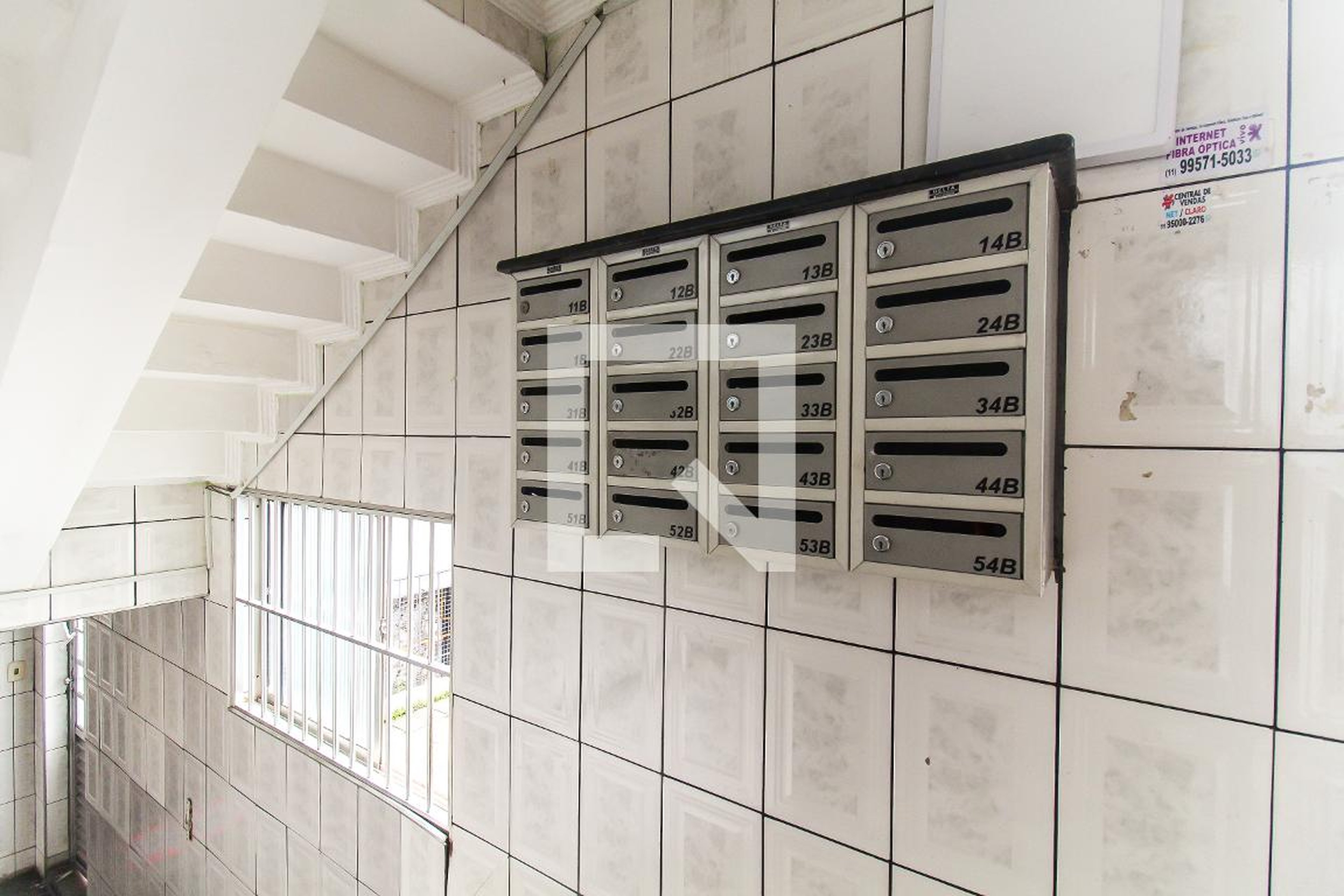 Hall - Araras I