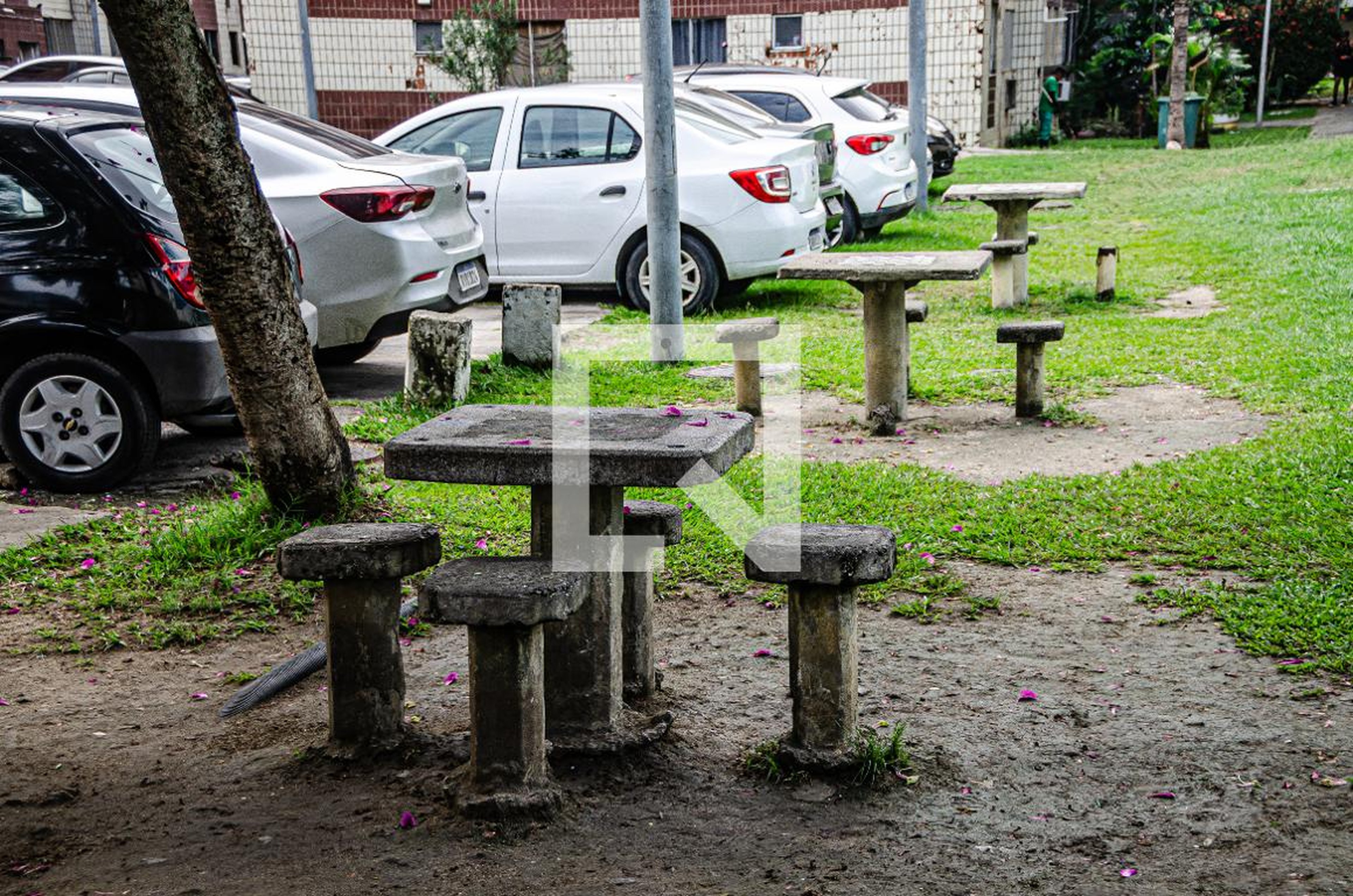 Área externa - Parque dos Eucaliptos
