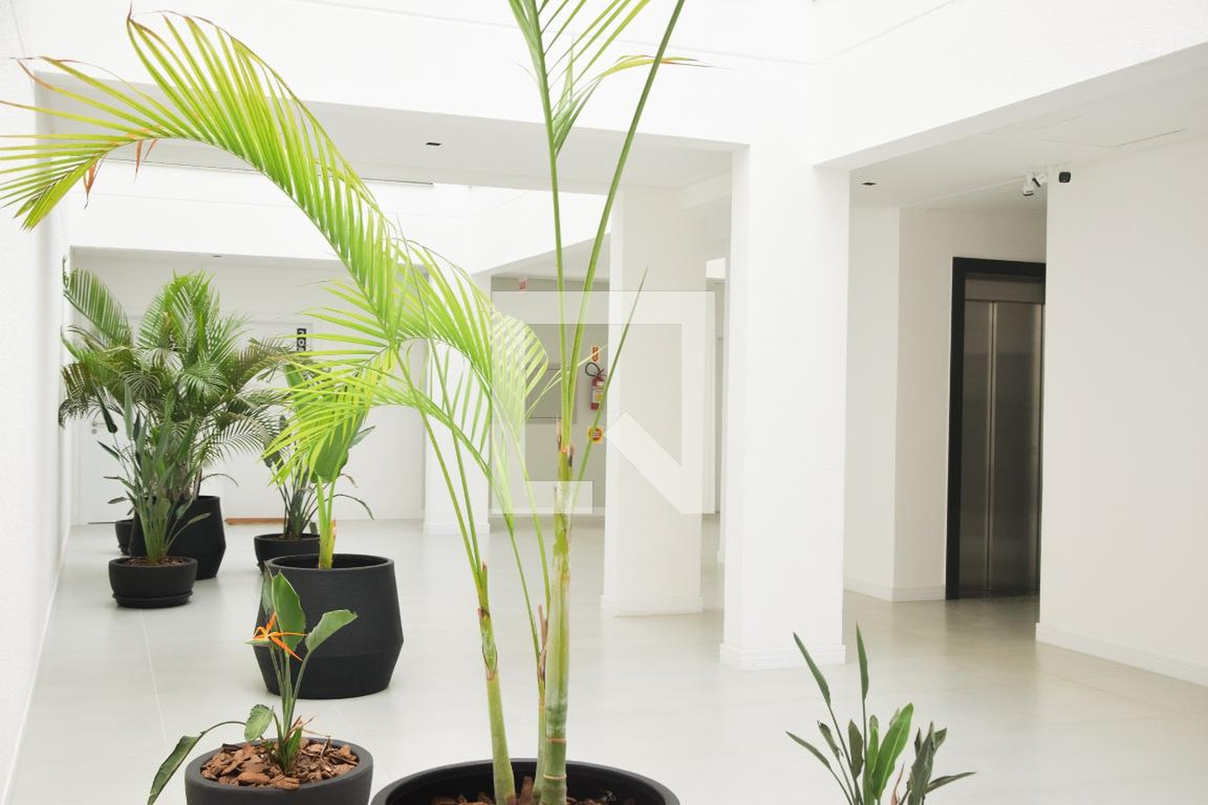 Hall de Entrada - 