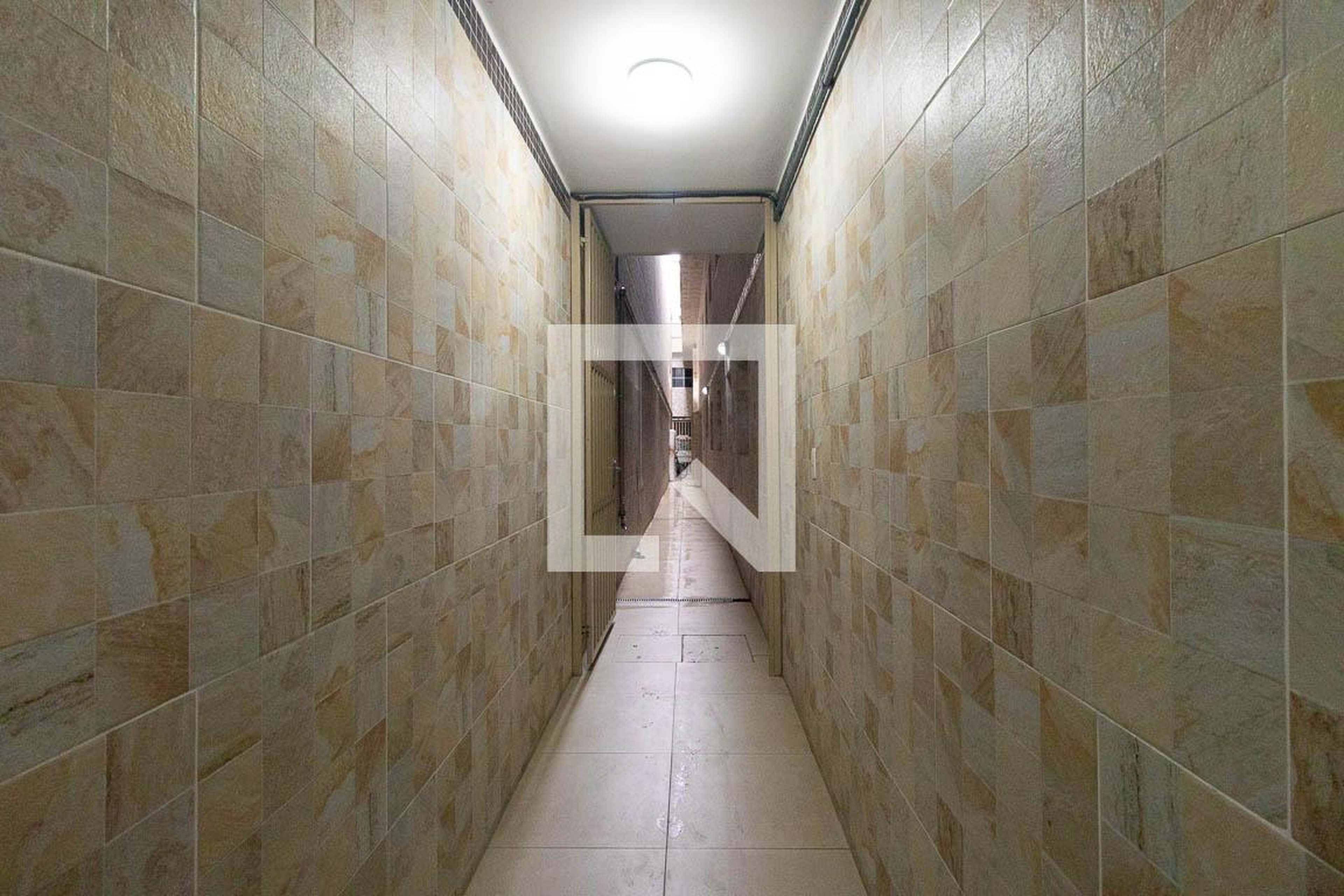 Entrada - null