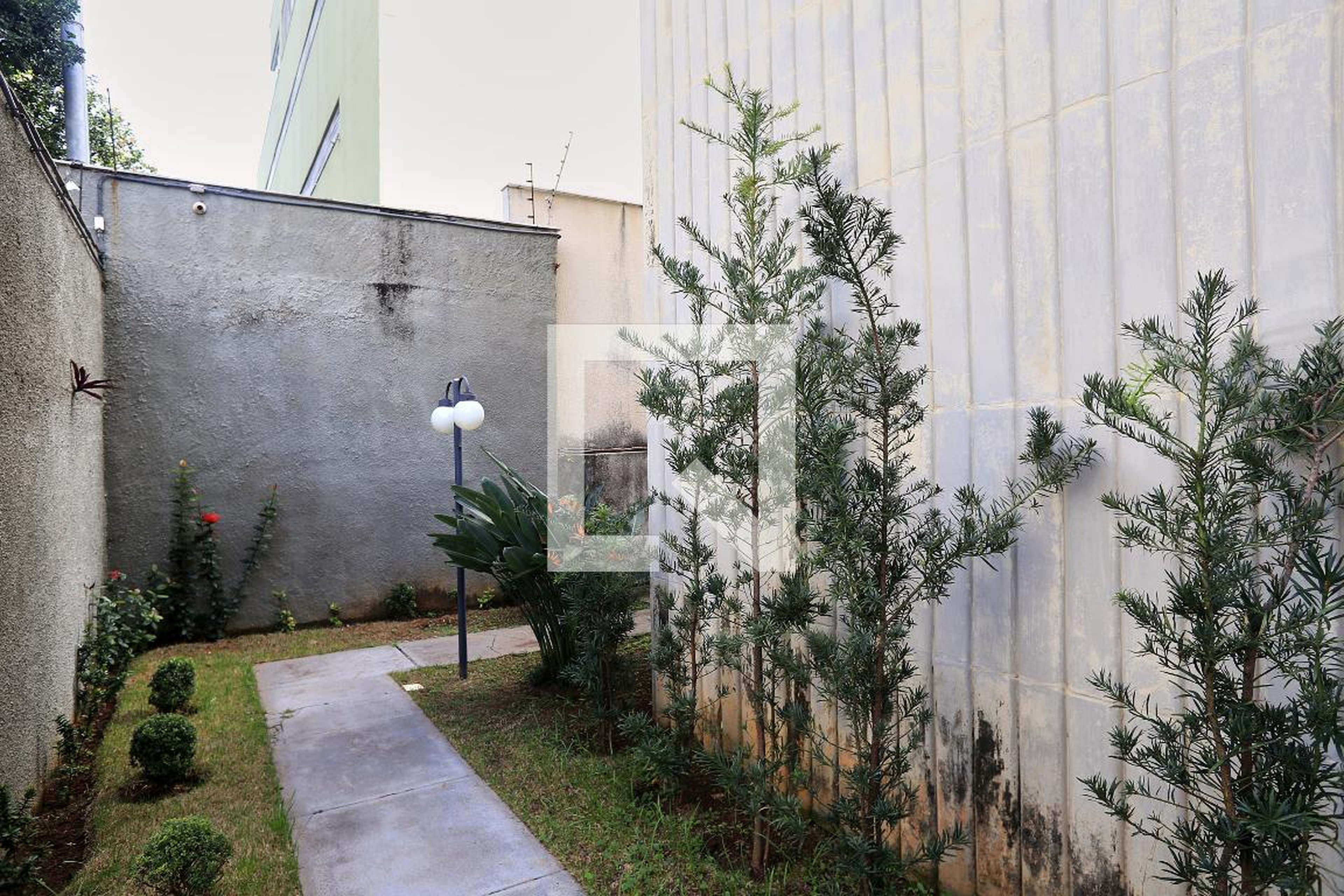 Entrada - 