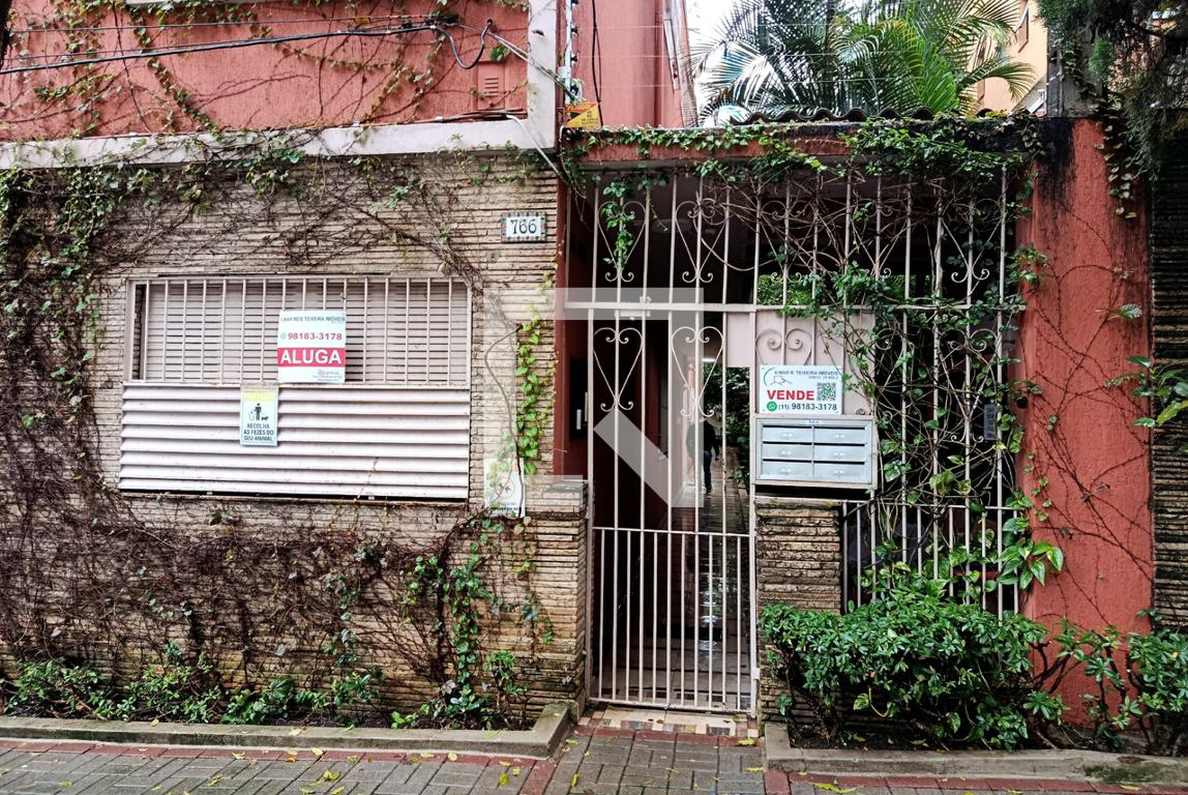 Entrada - null