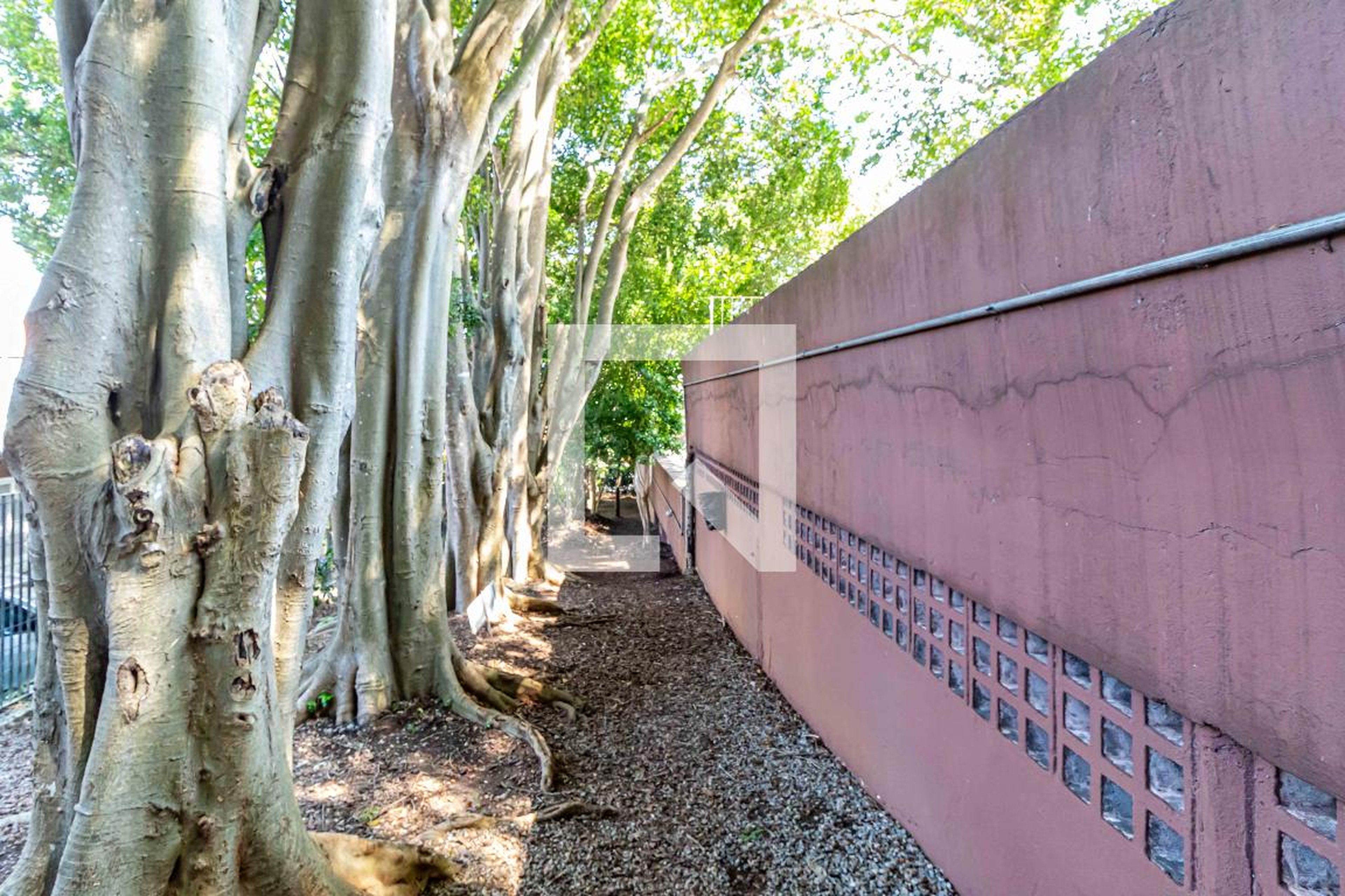 Espaço Pet - Edifícios Eros e Zeus