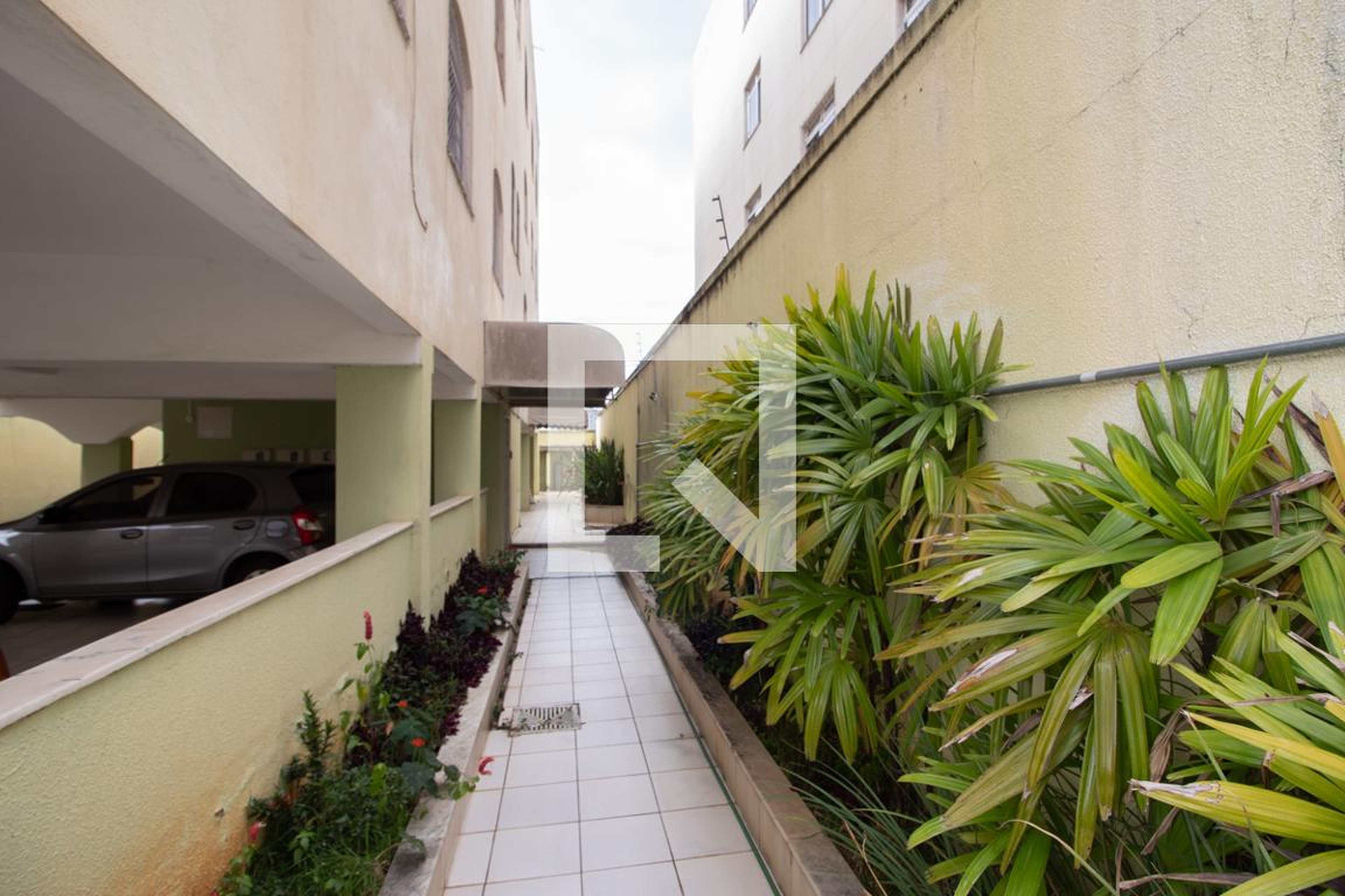 Entrada - 
