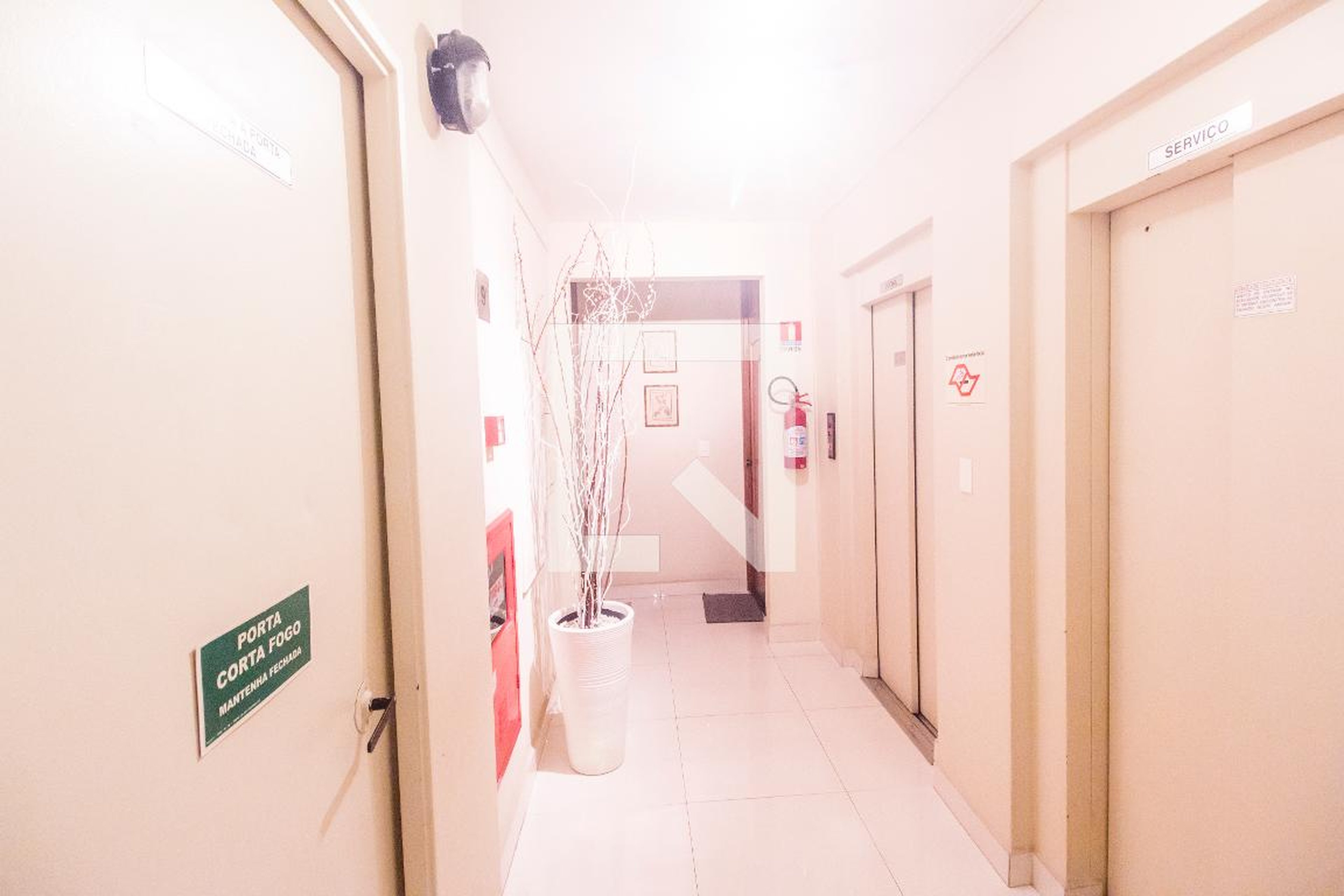 Entrada - 