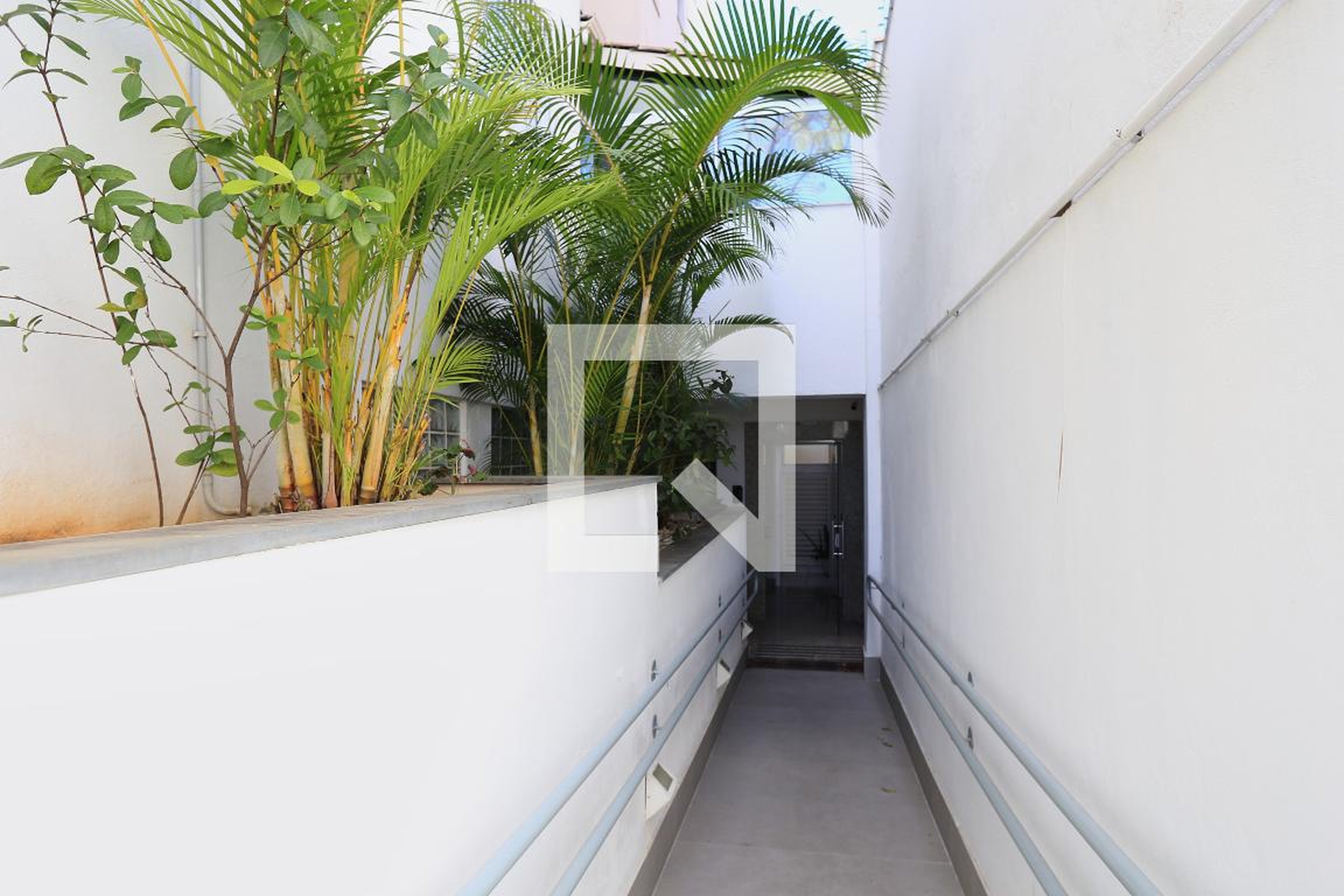 Entrada - 