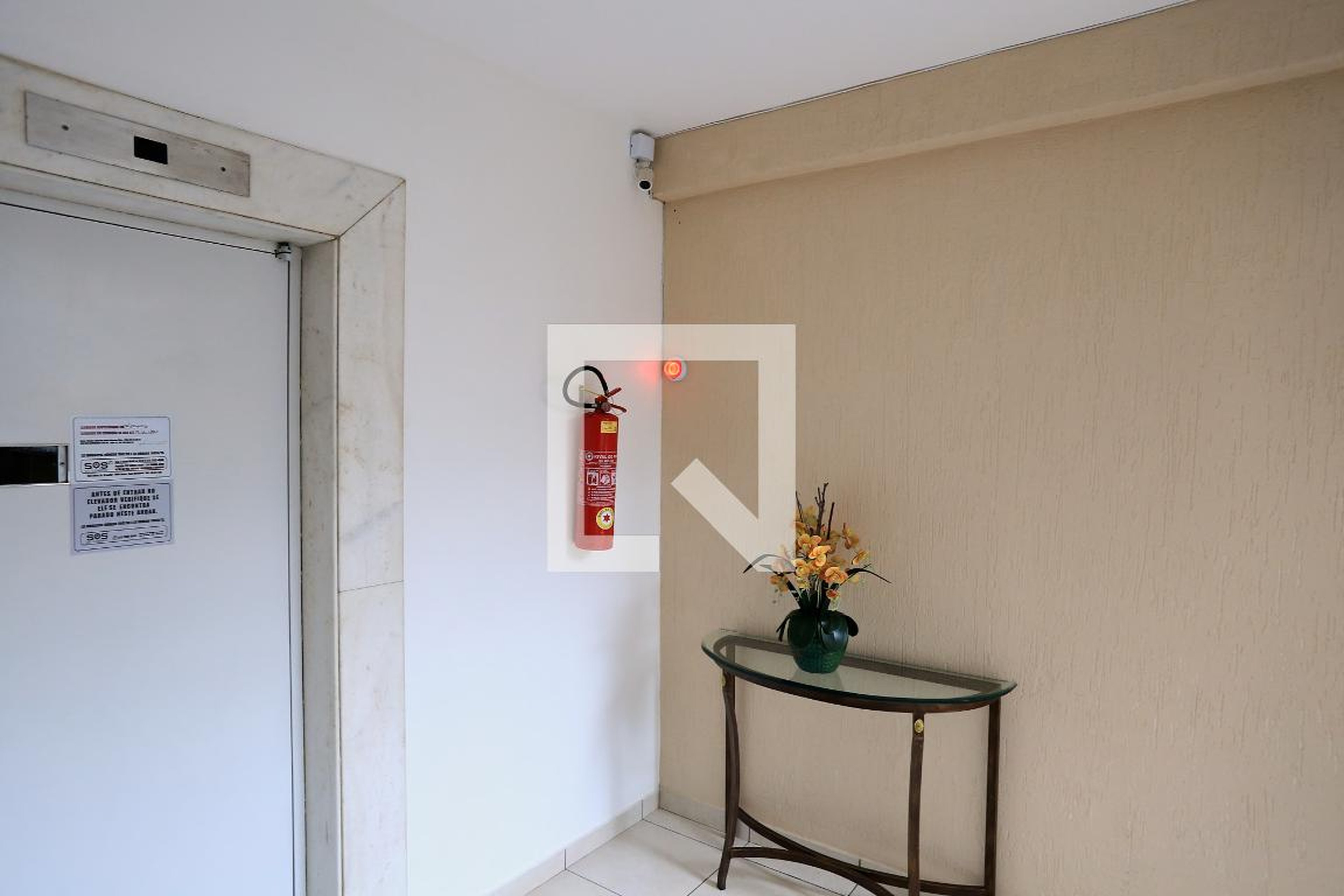 Hall - Flavia Maria