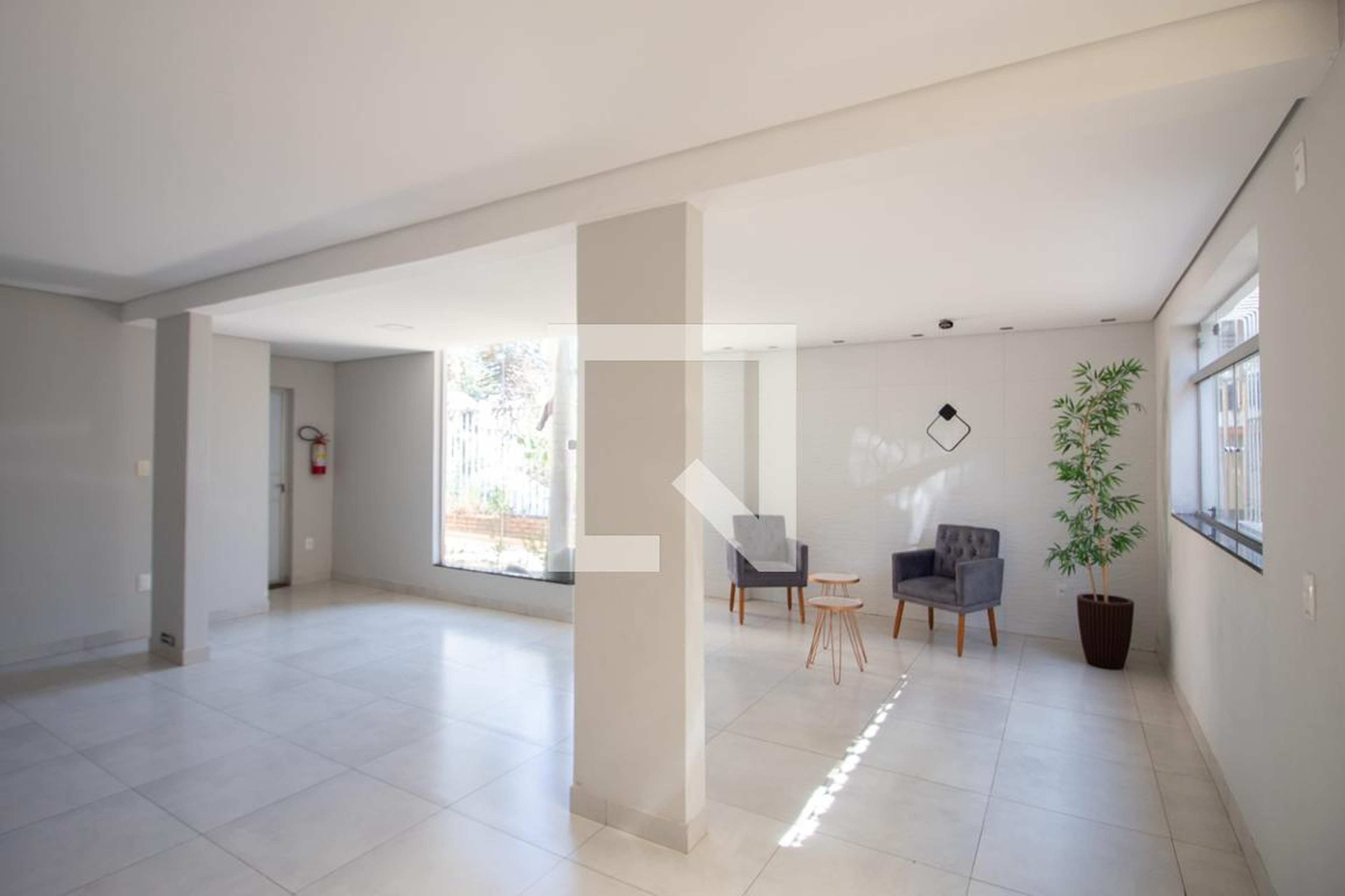 Hall de entrada - Palmeira