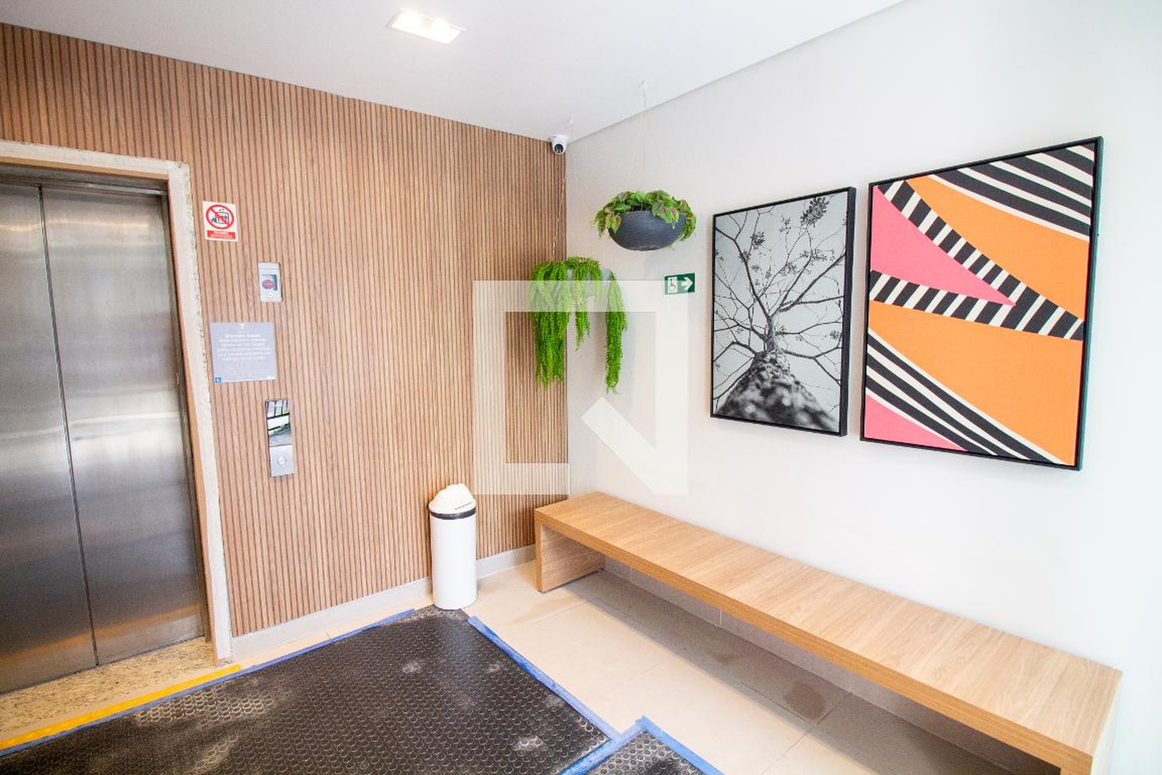 Hall Social - Lift