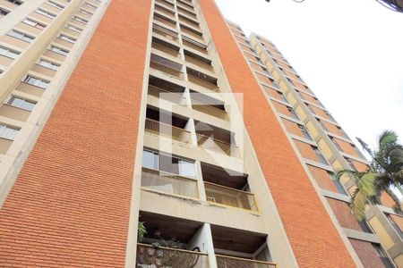 Apartamento à venda com 1 quarto, 55m² em Vl Santia, Campinas