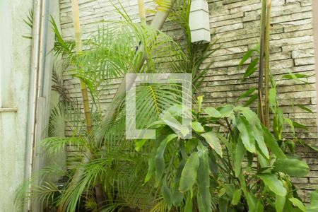 Sala de casa à venda com 3 quartos, 170m² em Centro, São Bernardo do Campo