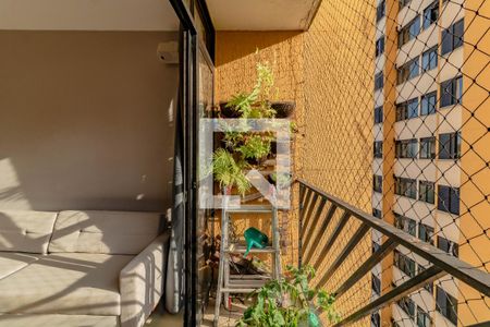 Apartamento à venda com 3 quartos, 74m² em Vila Campestre, São Paulo