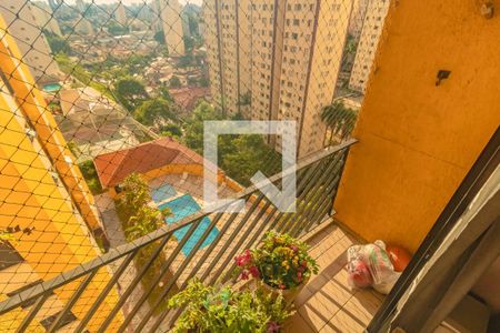 Apartamento à venda com 3 quartos, 74m² em Vila Campestre, São Paulo