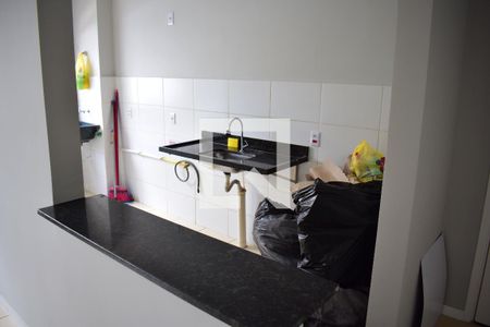 Cozinha de apartamento para alugar com 2 quartos, 50m² em Residencial das Americas, Ribeirão Preto