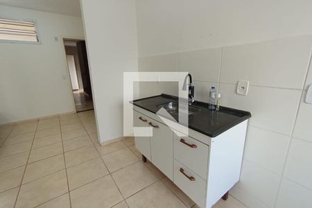Cozinha de apartamento para alugar com 2 quartos, 42m² em Valentina Figueiredo, Ribeirão Preto