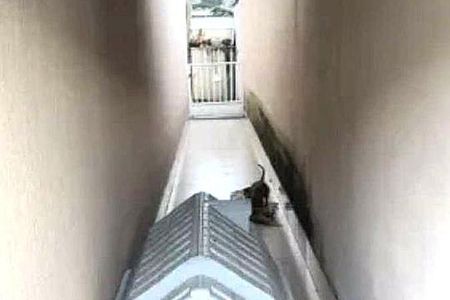 Casa à venda com 4 quartos, 240m² em Recreio dos Bandeirantes, Rio de Janeiro