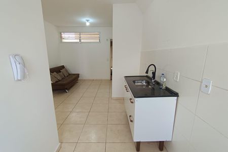 Cozinha de apartamento para alugar com 2 quartos, 42m² em Valentina Figueiredo, Ribeirão Preto