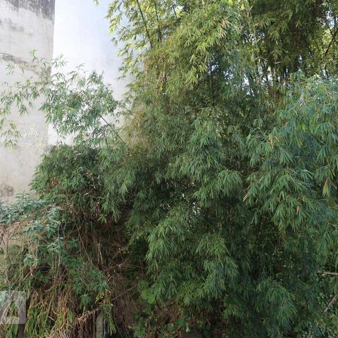 Apartamento à venda com 67m², 3 quartos e 1 vagaVista do Quarto 1