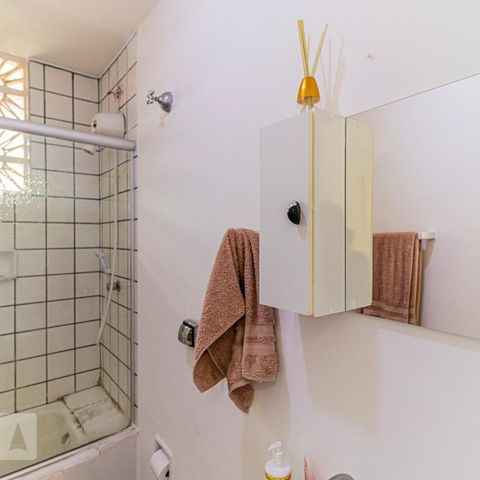 Apartamento para alugar com 53m², 1 quarto e sem vagaBanheiro - Espelho