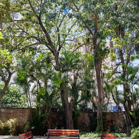Apartamento à venda com 330m², 4 quartos e 4 vagasÁrea comum
