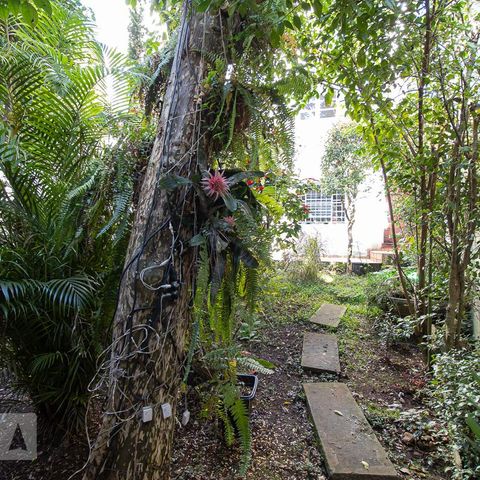 Casa à venda com 279m², 4 quartos e 4 vagasQuintal