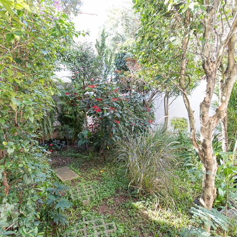 Casa à venda com 279m², 4 quartos e 4 vagasQuintal
