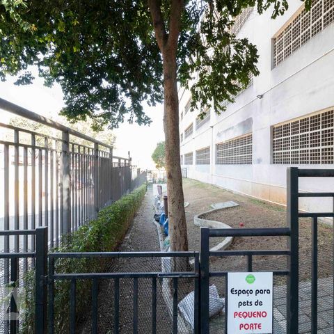 Apartamento à venda com 68m², 3 quartos e 2 vagasÁrea Comum - Espaço Pet