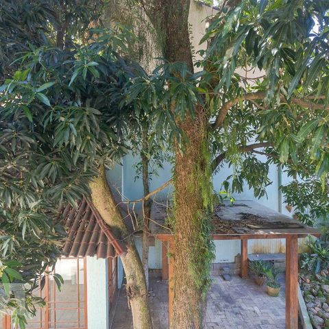 Casa à venda com 500m², 6 quartos e 6 vagasVista da Suíte 1