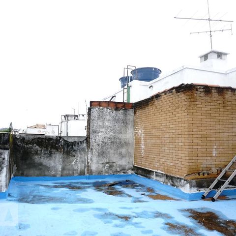 Apartamento à venda com 350m², 4 quartos e 3 vagasCobertura
