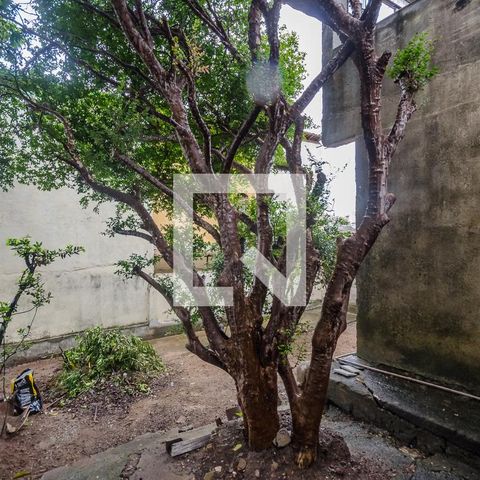 Casa à venda com 160m², 3 quartos e 2 vagasQuintal