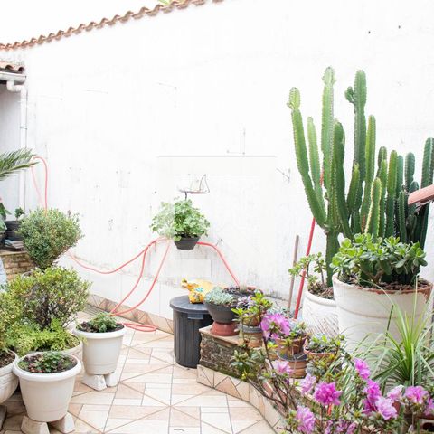 Casa à venda com 406m², 6 quartos e 3 vagas Casa à venda com 406m², 6 quartos e 3 vagasQuintal frente