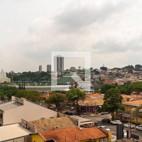 Apartamento para alugar com 260m², 4 quartos e 4 vagas Apartamento para alugar com 260m², 4 quartos e 4 vagasVista do Quarto 1