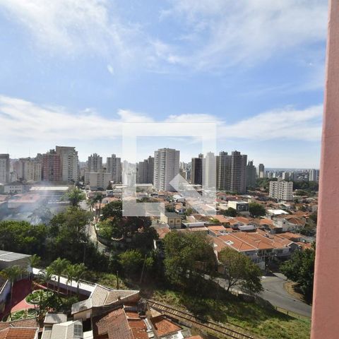 Apartamento para alugar com 176m², 4 quartos e 2 vagasSuíte Vista
