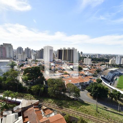 Apartamento para alugar com 176m², 4 quartos e 2 vagasChurrasqueira - Vista