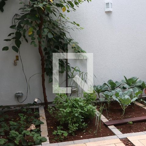 Casa para alugar com 260m², 3 quartos e 6 vagasQuintal