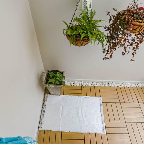 Casa de condomínio à venda com 167m², 3 quartos e 1 vaga Casa de condomínio à venda com 167m², 3 quartos e 1 vagaVaranda da Suíte 2