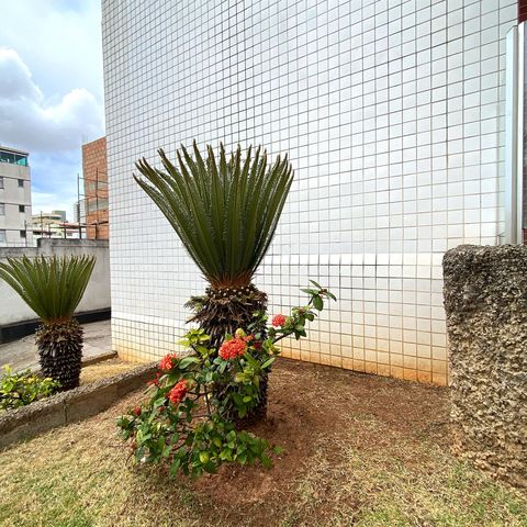 Apartamento à venda com 166m², 3 quartos e 2 vagasÁrea comum - Jardim