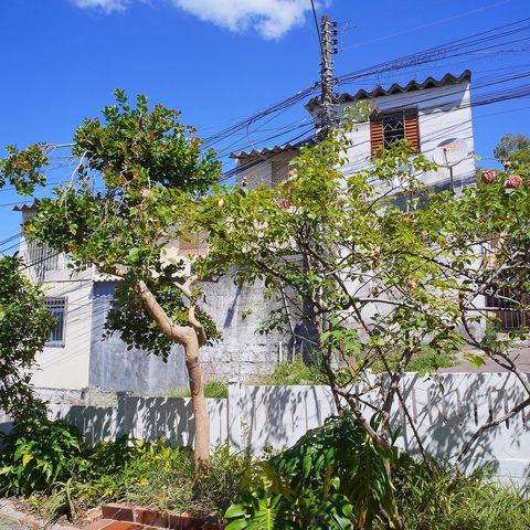 Casa à venda com 146m², 4 quartos e 2 vagasVista da Sala