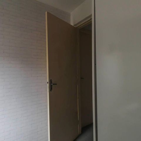 Casa para alugar com 430m², 6 quartos e 6 vagas
