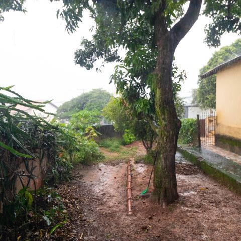 Casa à venda com 113m², 3 quartos e 2 vagas Casa à venda com 113m², 3 quartos e 2 vagasQuintal